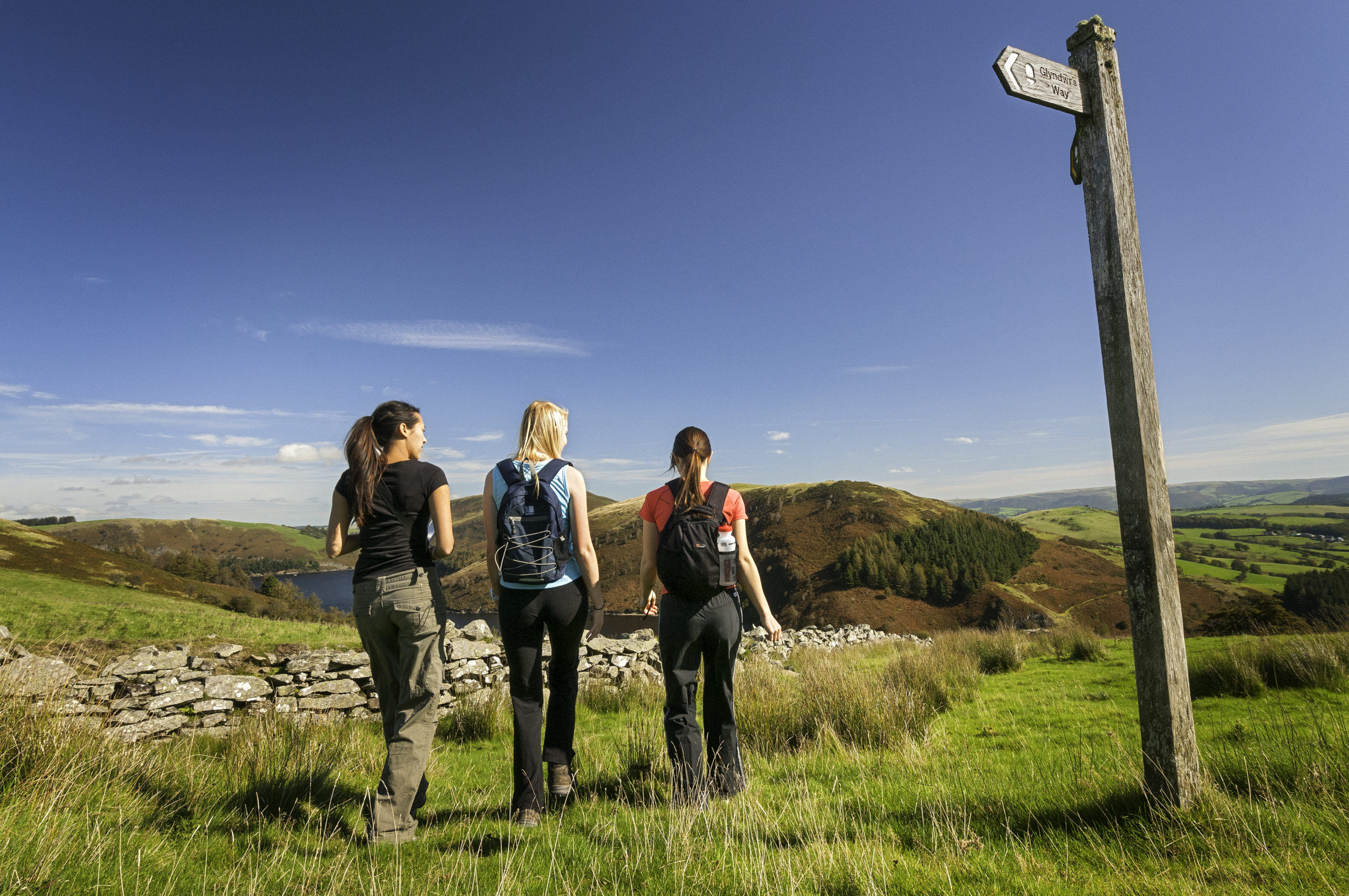 Glyndwrs Way, Wanderreisen Waless