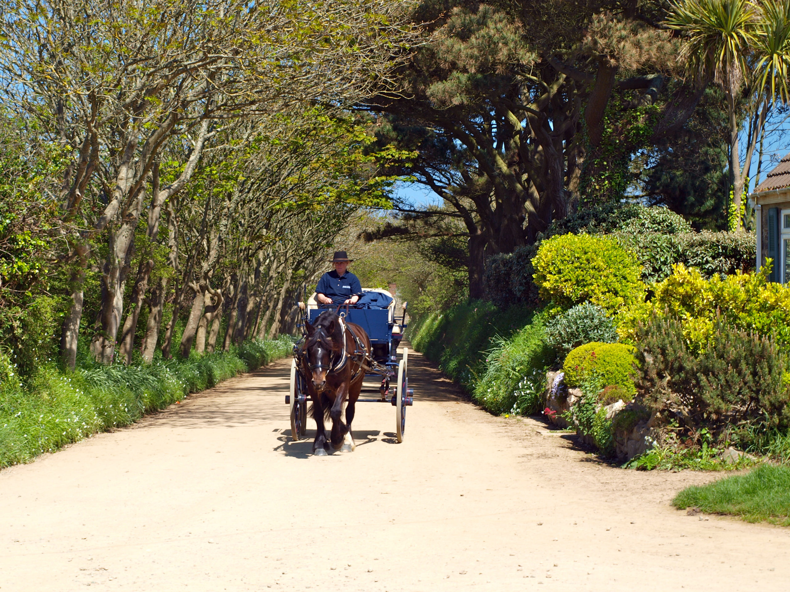 Urlaubsreisen auf die Kanalinseln