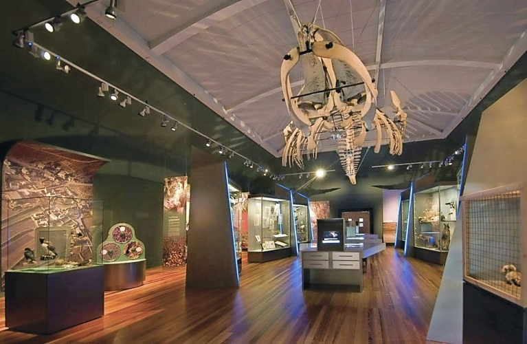 Manx Museum Isle of Man