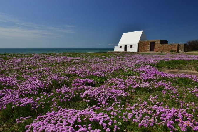 Radreise Jersey individuell