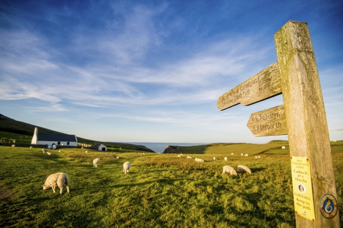 Snowdonia & Ceredigion Coastal Path