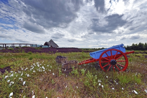 Lullymore Heritage & Discovery Park Kildare
