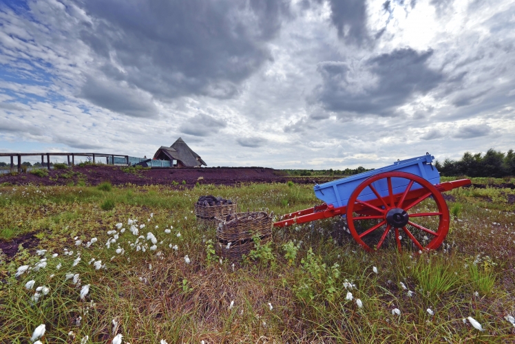 Lullymore Heritage & Discovery Park Kildare