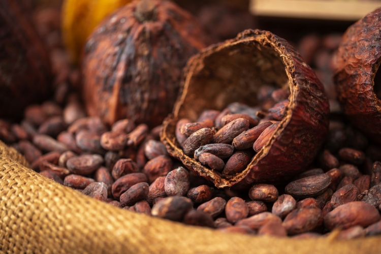 Kakao Bohnen