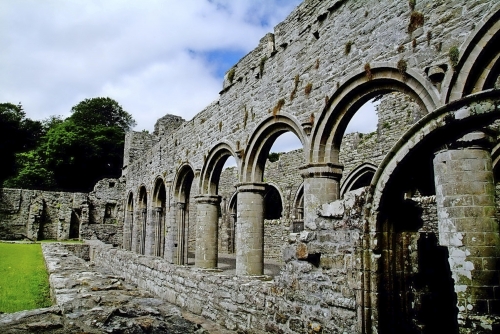 Boyle Abbey