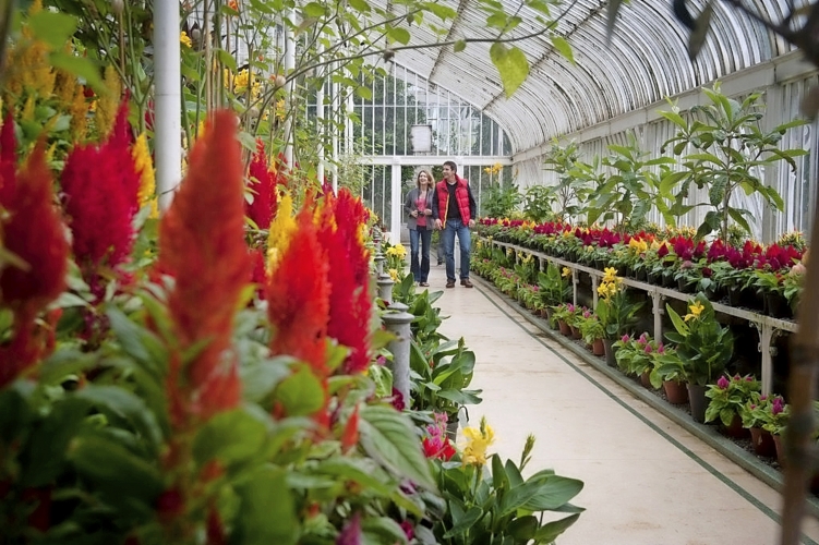 Botanischer Garten Belfast