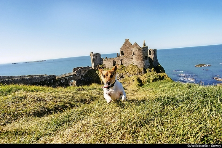 Dunluce Castle Co Antrim