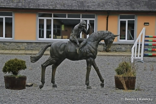 Dartfield Horse Museum & Heritage Centre Co Galway
