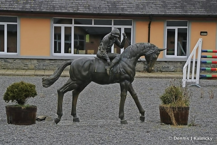 Dartfield Horse Museum & Heritage Centre Co Galway