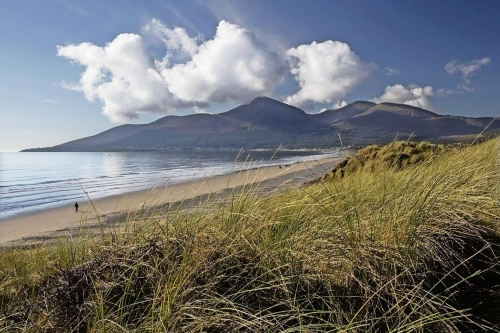 Murlough National Nature Reserve Co Down