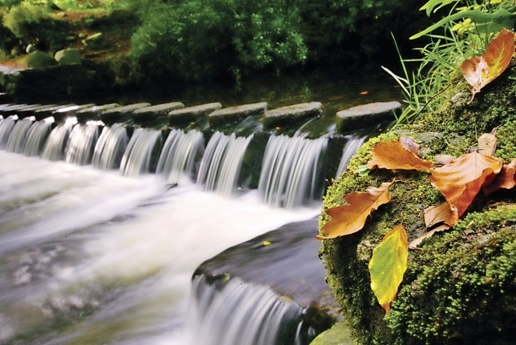 Tollymore Forest Park Co Down