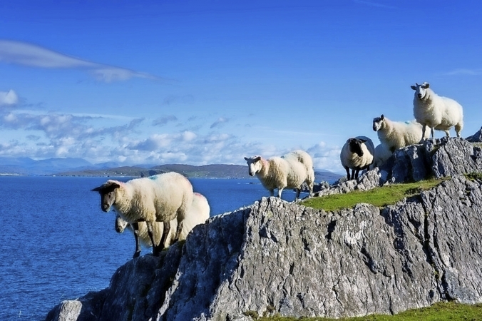 Wanderreise Beara Way