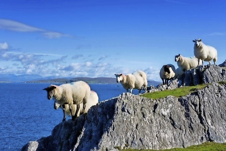 Dursey Island Co Cork