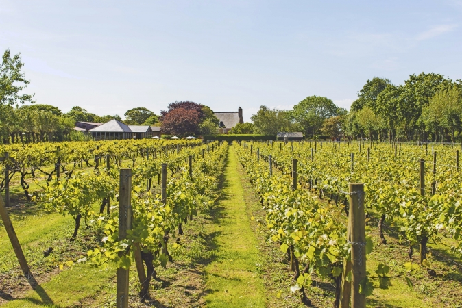 Radreise Jersey individuell