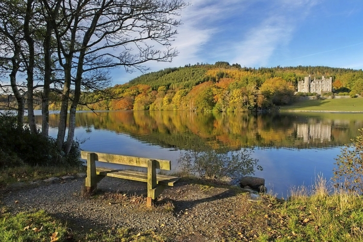 Castlewellan Forest Park Co Down