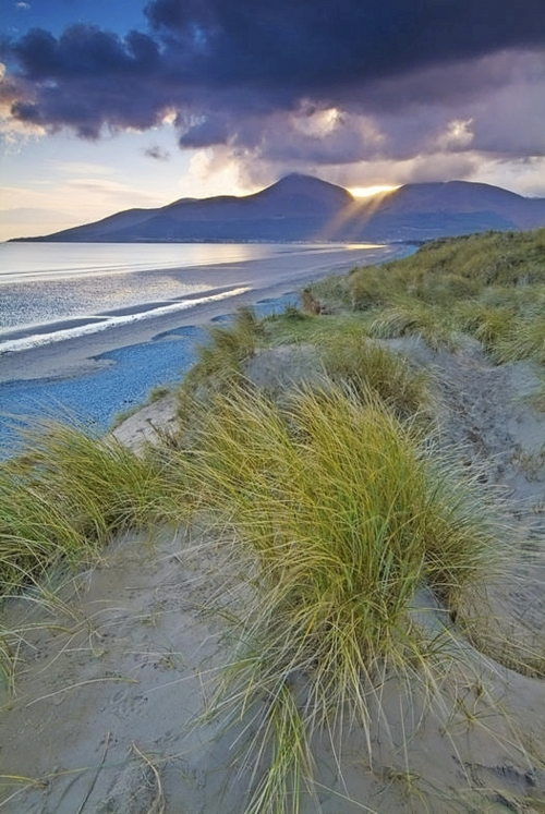 Murlough National Nature Reserve Co Down