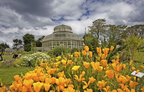 National Botanic Gardens Irland