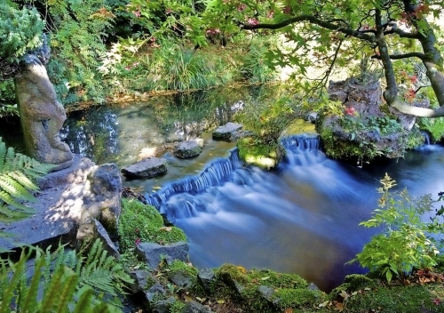 Irish National Stud & Gardens