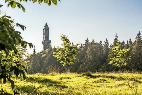 The Phoenix Park Dublin