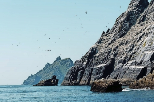 Skellig Islands - Skellig Michael