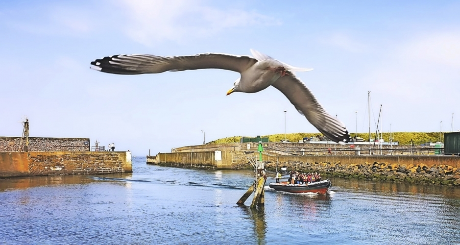 Eyemouth Rib Trips