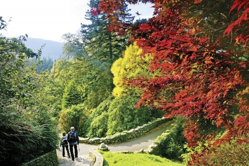 Tollymore Forest Park Co Down
