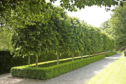 Oakfield Park Donegal