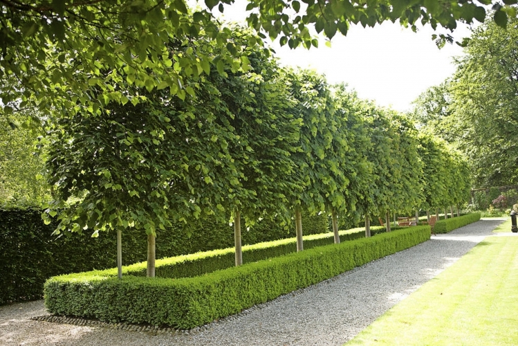 Oakfield Park Donegal