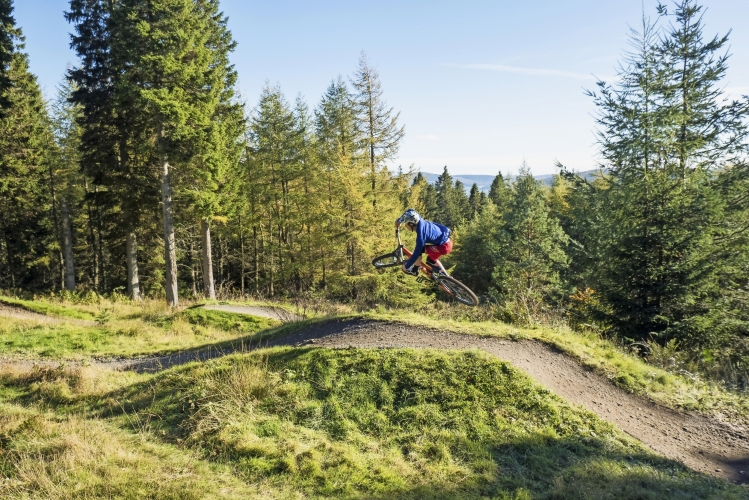 Glentress 7stanes