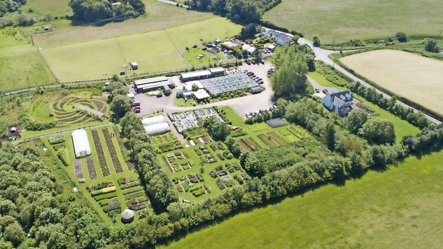 The Secret Herb Garden