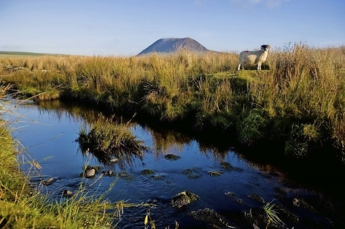 Slemish Moutain Nordirland