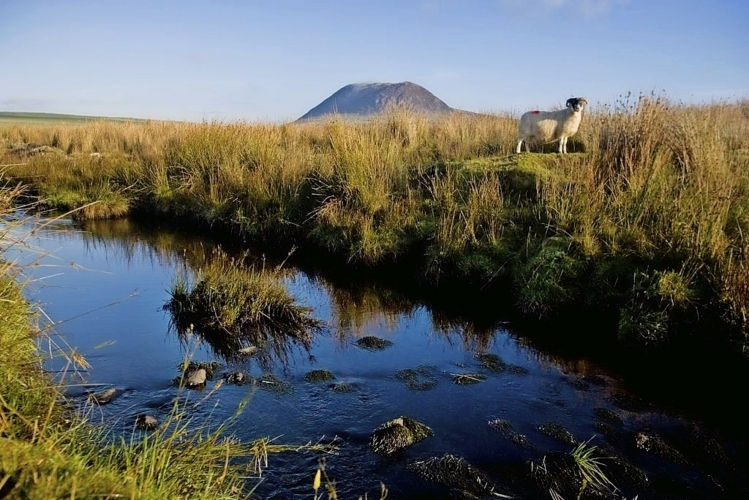 Slemish Moutain Nordirland