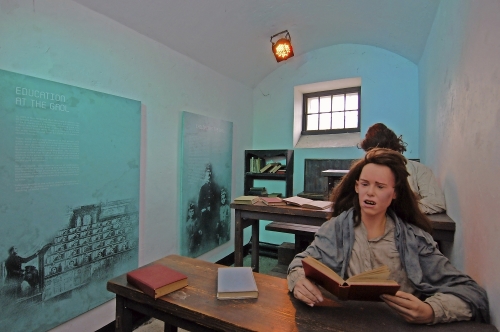 Wicklow's Historic Goal