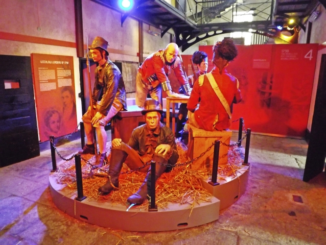 Wicklow's Historic Goal Irland