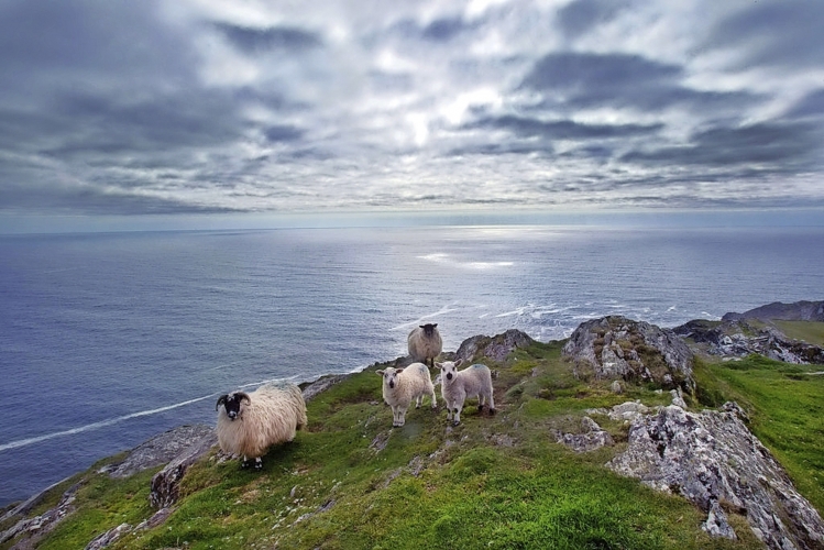Sheep's Head Peninsula Cork