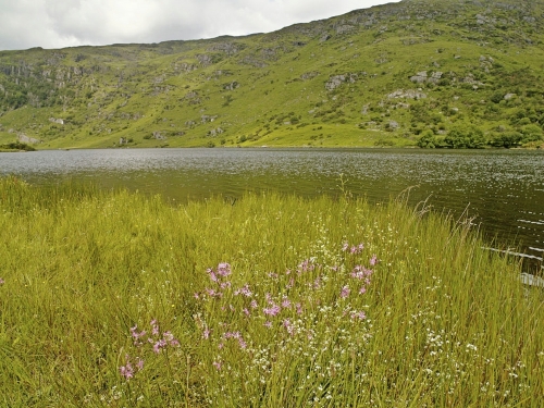 St. Finbarr's Oratory Co Cork