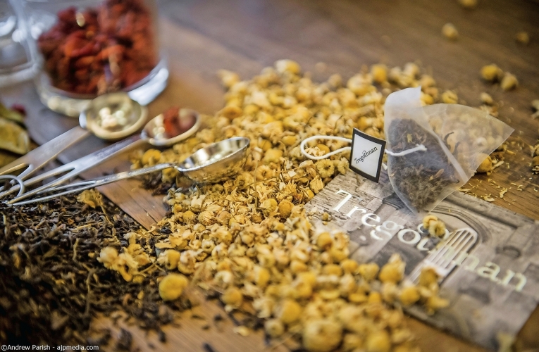 Tregothnan Tea Plantation