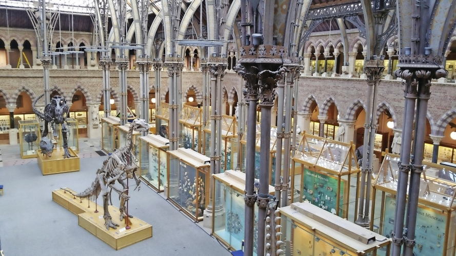 Oxford Museum of Natural History