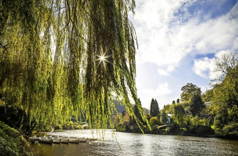 Forest of Dean & Wye Valley