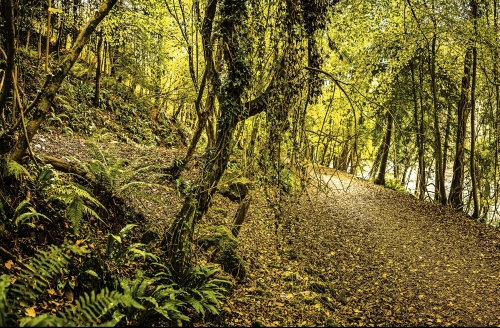 Forest of Dean & Wye Valley