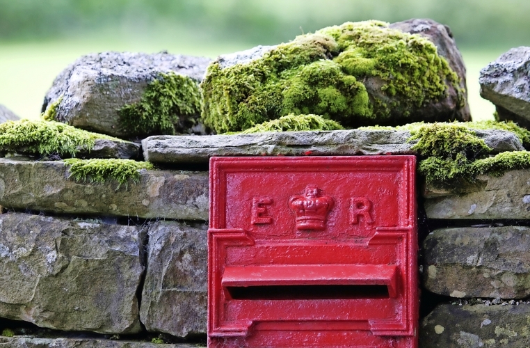 Der Doktor und das liebe Vieh