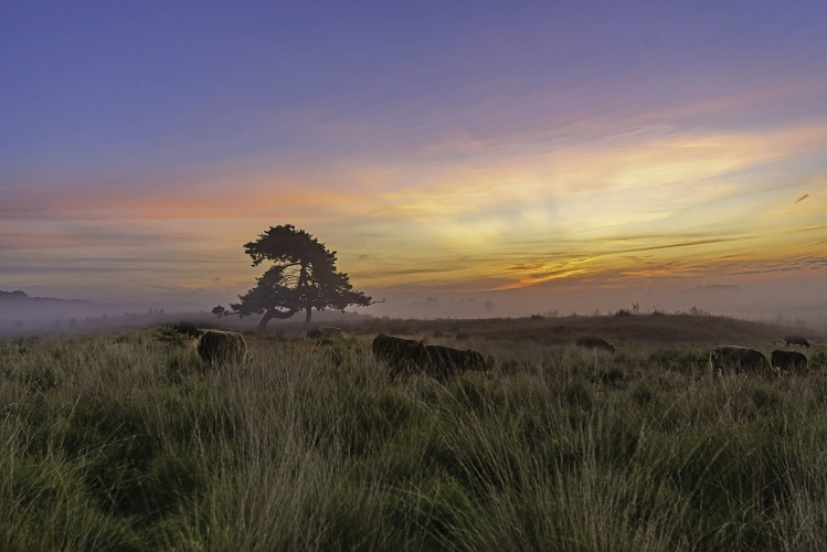 Galloway Forest Park