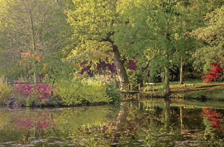 Thorp Perrow Arboretum