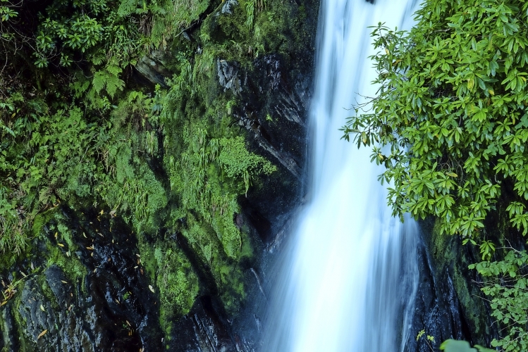 Devil's Bridge Falls