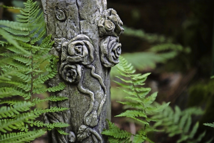 Devil's Bridge Falls