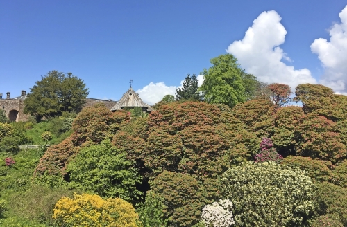 Muncaster Castle & Gardens