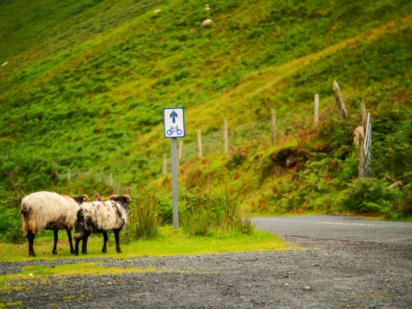 Standortreise Connemara Irland