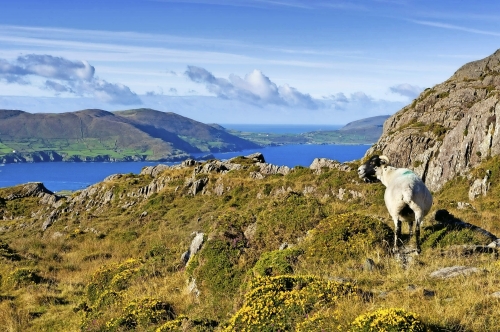 Beara Halbinsel County Cork