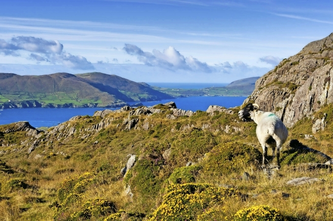 Wanderreise Beara Way
