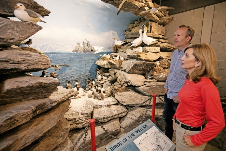 UNESCO World Heritage Site Skellig Michael County Kerry